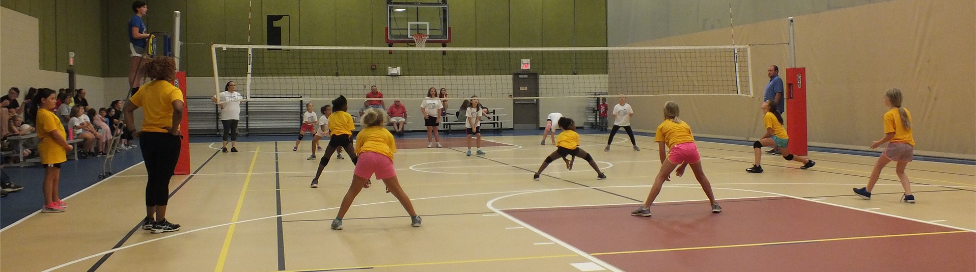 Volleyball Games